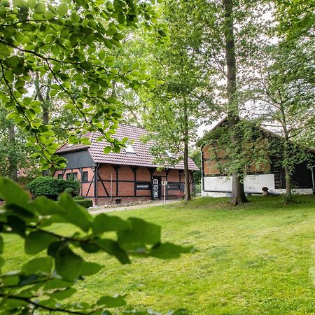 Traumferienwohnung in der Lüneburger Heide Soltau Exterior foto