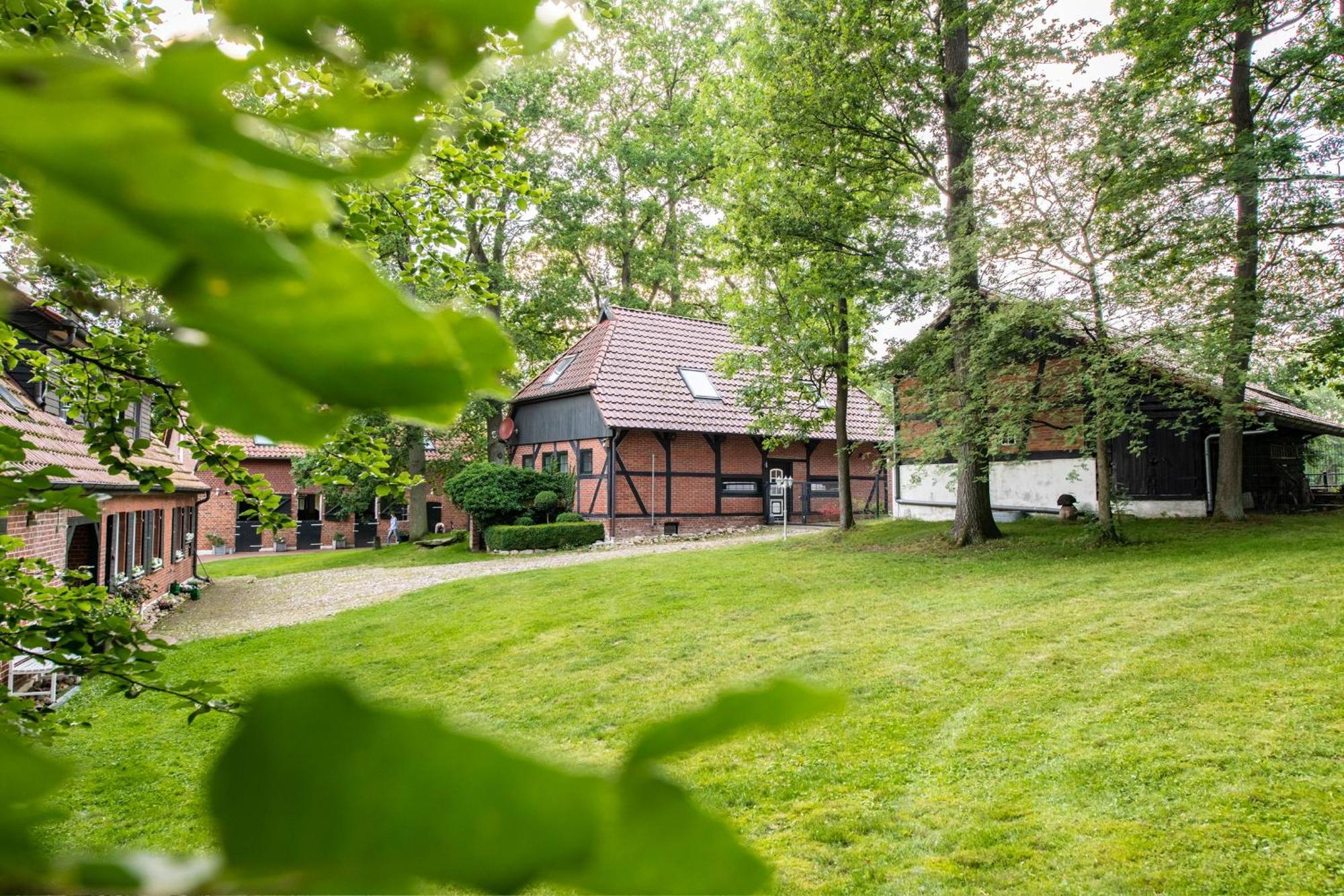 Traumferienwohnung in der Lüneburger Heide Soltau Exterior foto