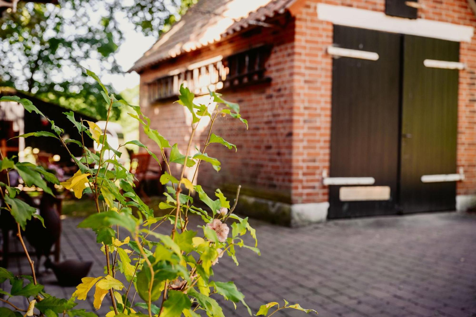 Traumferienwohnung in der Lüneburger Heide Soltau Exterior foto